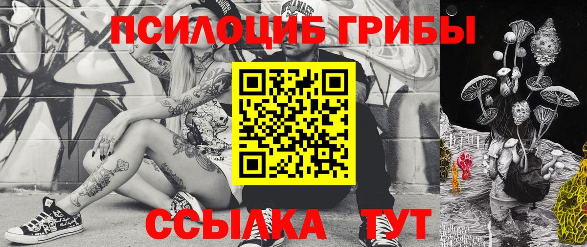 Псилоцибиновые грибы Cubensis Михайловск